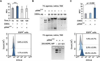 Extracellular vesicle mimetics as delivery vehicles for oligonucleotide-based therapeutics and plasmid DNA